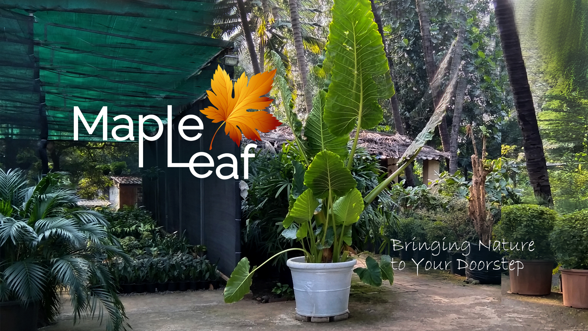 Beautiful landscape design